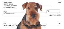 Terrier Breed Dog Checks