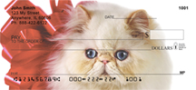 Cat Breed Checks